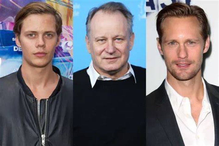 Unveiling The Skarsgard Brothers' Towering Stature: Insights And Revelations