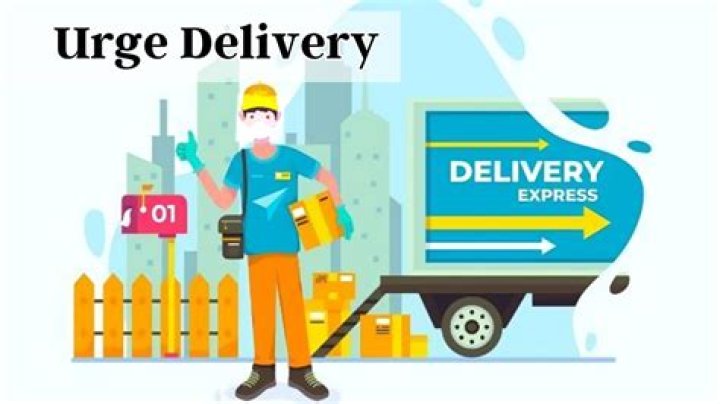 Urge Delivery Shein Experience LightningFast Shipping