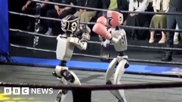 We Fight Robots Grammar Jokes Are Awesome!