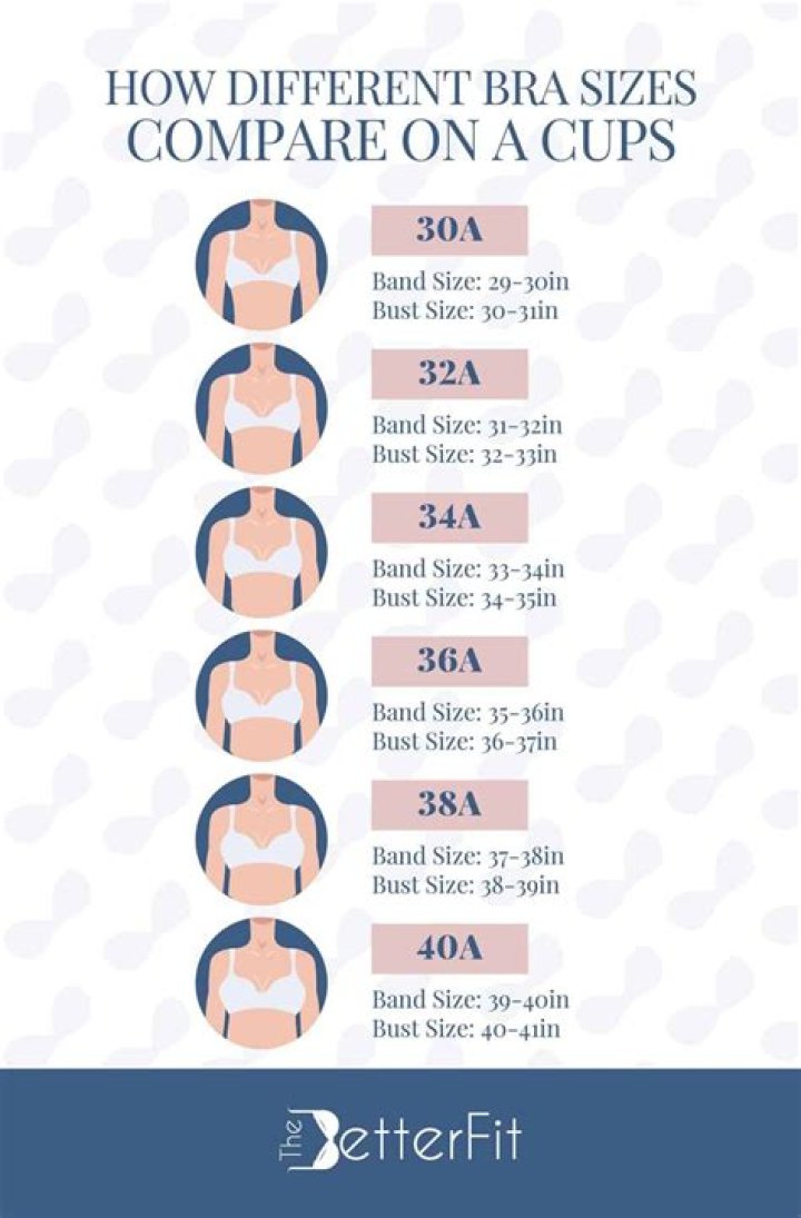 What Bra Size Is Anna Kendrick? TheBetterFit