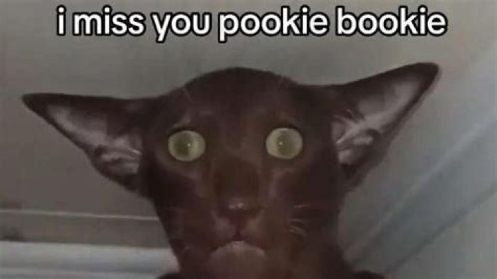 What Does Pookie Mean