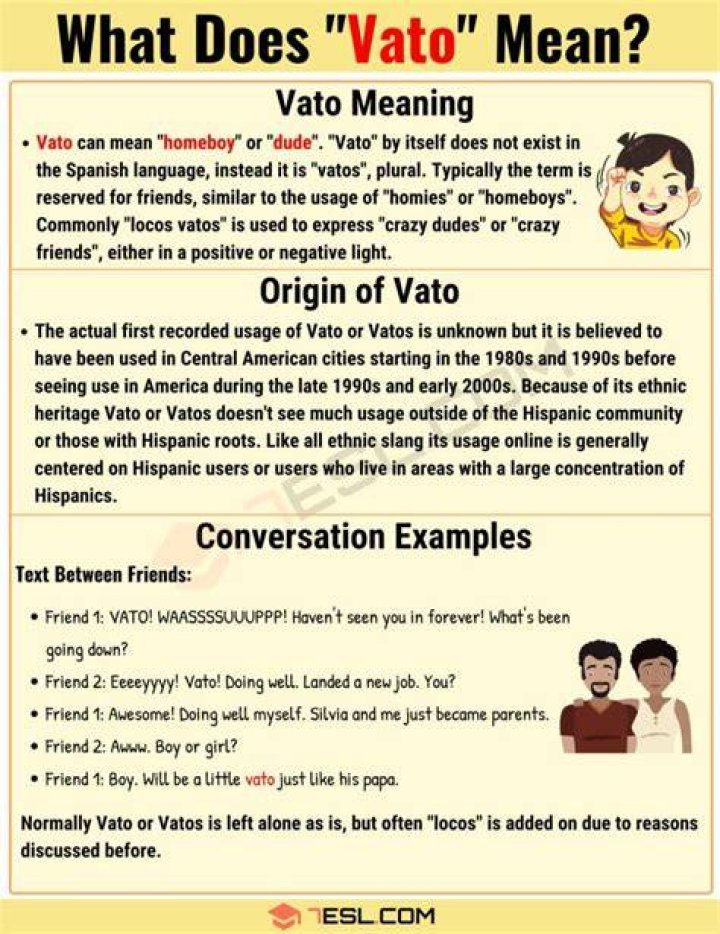 What Does Vato Mean? Meaning, Uses and More FluentSlang