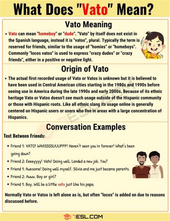What Does Vato Mean? The Word Counter