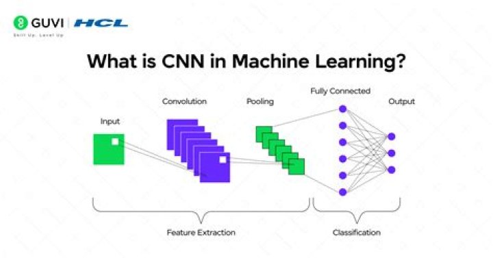 What is CNN's Erin Salary And Net Worth?
