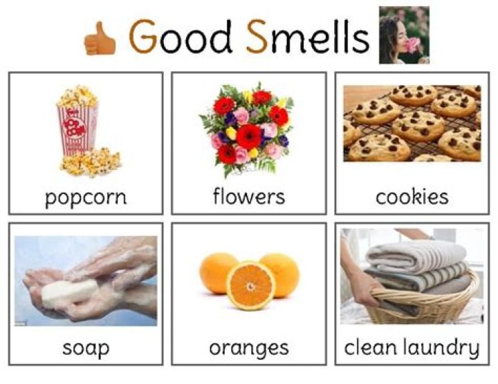 What Smells So Good? June 2012