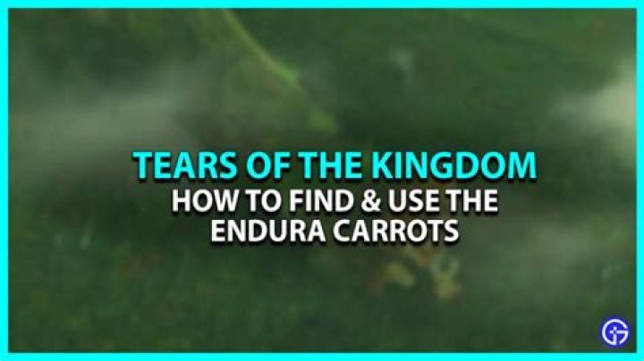 Where to Find Endura Carrots in Zelda TOTK