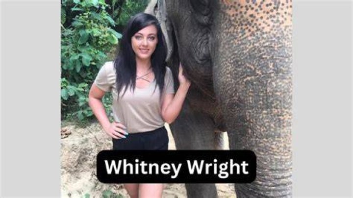 Whitney Wright's Instagram, Twitter & Facebook on IDCrawl