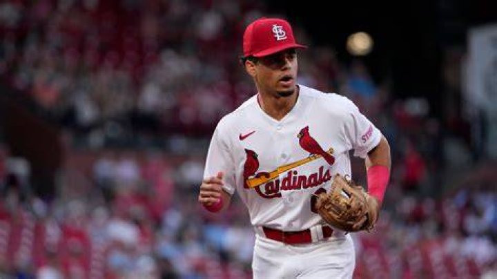 Winn Wins! Cardinals rookie gets back 1sthit ball after Mets’ Alonso