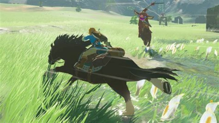 Zelda Breath of the Wild Endura Carrot Location YouTube