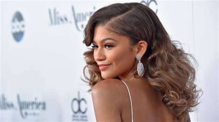 Zendaya's parents Who are the mother and father of the actress?